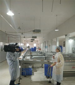 匠心铸品质 实干显担当——宜昌华尔食品公司获评市食药监局“食品示范企业”并接受专题报道采访