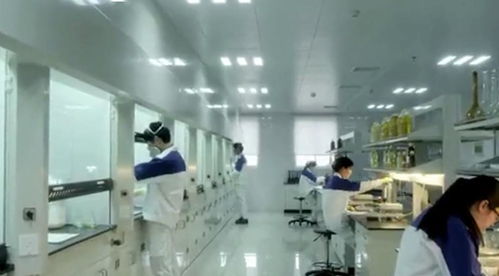 合作共赢，财富同行 吉林省中吉食品集团诚招全国经销商